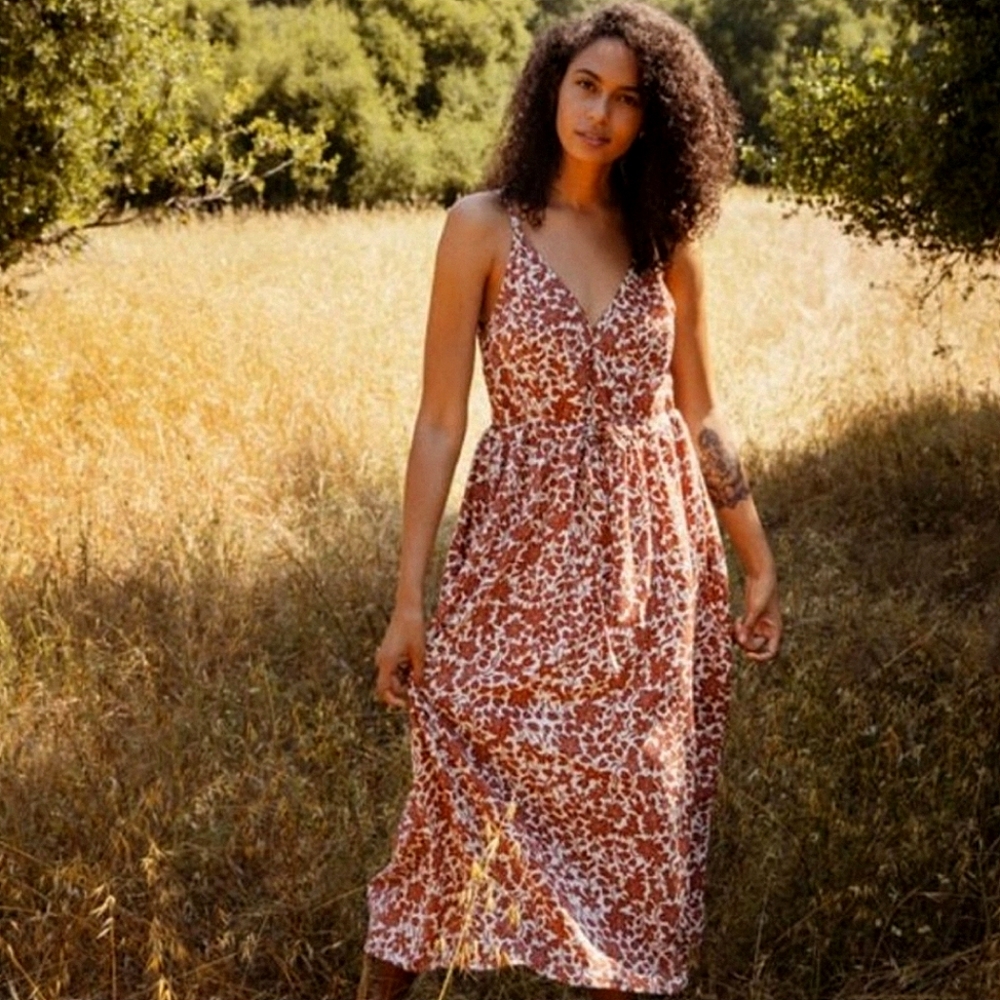 Christy Dawn Lincoln Dress in Canyon Floral